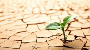 ͨ_(d)عЙC(j)O(sh)Q}