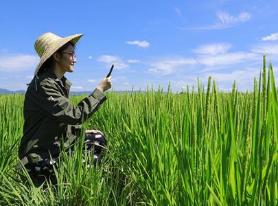 uмtl(xing) ͻl(xing)c(din)ú{(dio)(yu)r(nng)I(y)Y(ji)(gu)