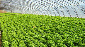 S׃ؐJѭh(hun)r(nng)I(y)