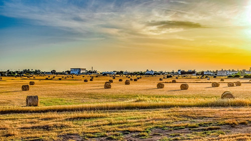 ƽԭhGɫdr(nng)ЙC(j)ʣr(nng)I(y)Gɫl(f)չ