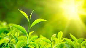 ɽ|P(gun)MЙCЄӵ֪ͨ