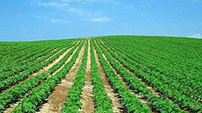 ЙCr(nng)I(y)Gɫl(f)չ