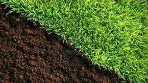 ӱB(yng)ֳȾݼSȥă