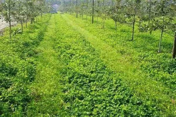 ԭl(f)չЙCr(nng)I(y)Űl(f)»