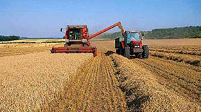 2021ʡr(nng)C(j)ُa(b)N18|Ԫ