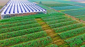 ͲݼSץB(ti)ѭh(hun)r(nng)I(y)`