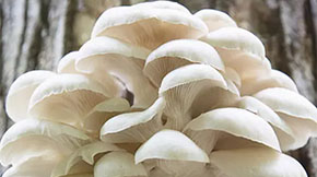 նЙC(j)Uѭh(hun)Gɫr(nng)I(y)l(f)չ