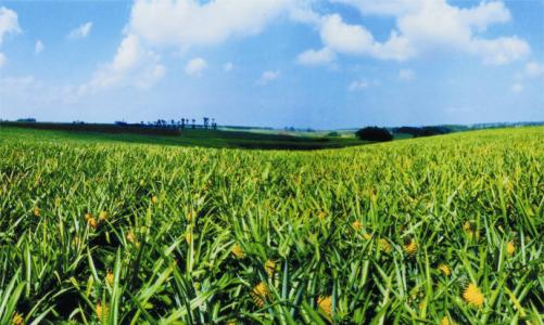 ɽ|Rд조ѭh(hun)ģʽI(y)Gɫl(f)չ