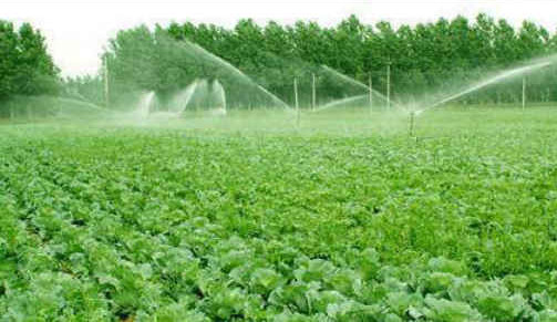 P(gun)_չGɫNB(yng)ѭh(hun)r(nng)I(y)ԇc(din)֪ͨ