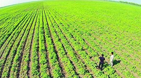 ؔ rI(y)r岿l(f)2021crr