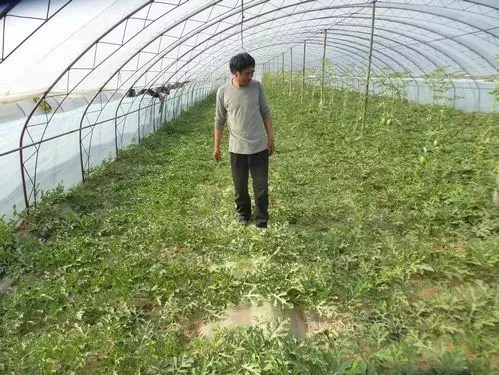 rI(y)r岿ֹݼSֱ߀ȫ飡