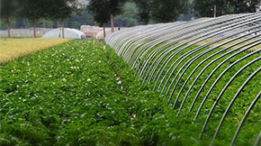 ƄӡSۡ׃SʡMЙCʿƌWʩ