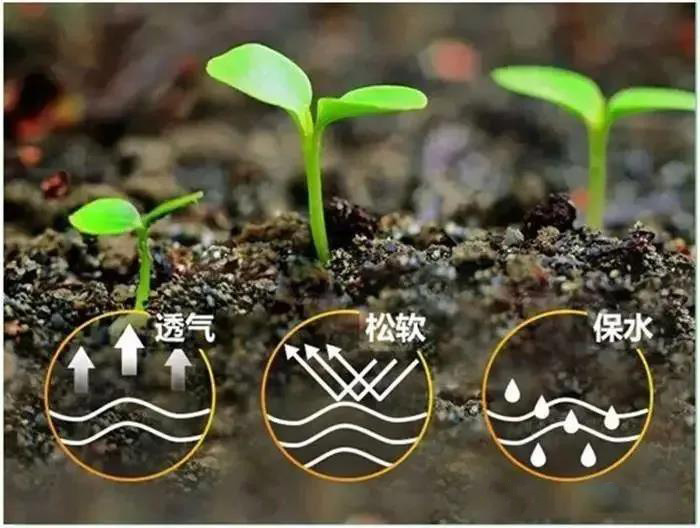 δЙC(j)ʱ،ɞИI(y)a(chn)r(nng)YMğc