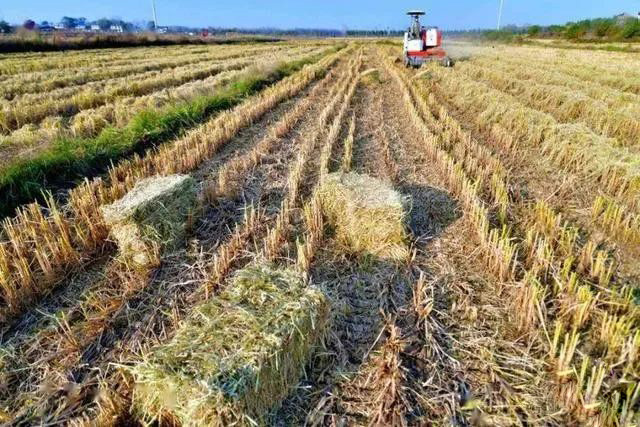 աMɽ|ȫʡնCʷ(wn)95