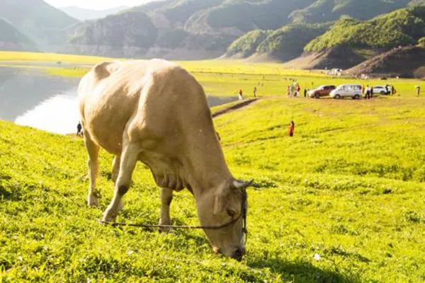 ݼSYԴЙCʵȾGɫĿՈaN