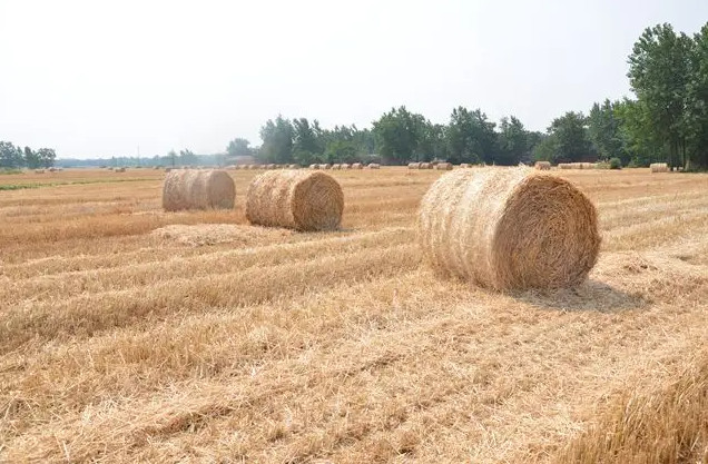 Uϡ׃ϡGɫrI(y)l(f)չ