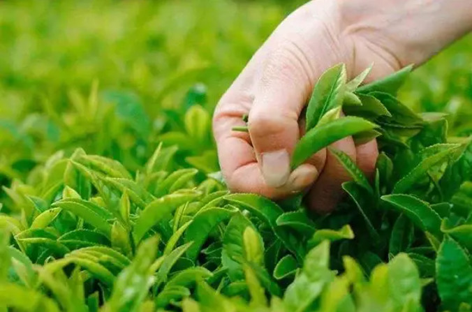 ИI(y)ݼSYԴѭh(hun)õĽ(jng)