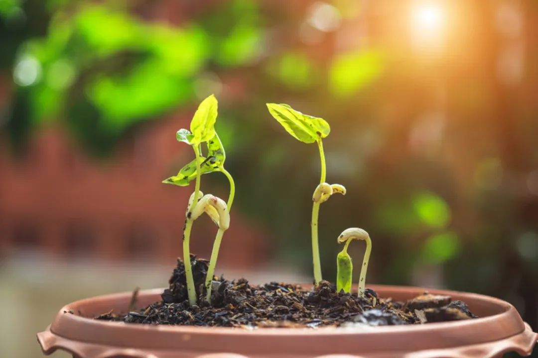 2000f҇ЙCЈ޴