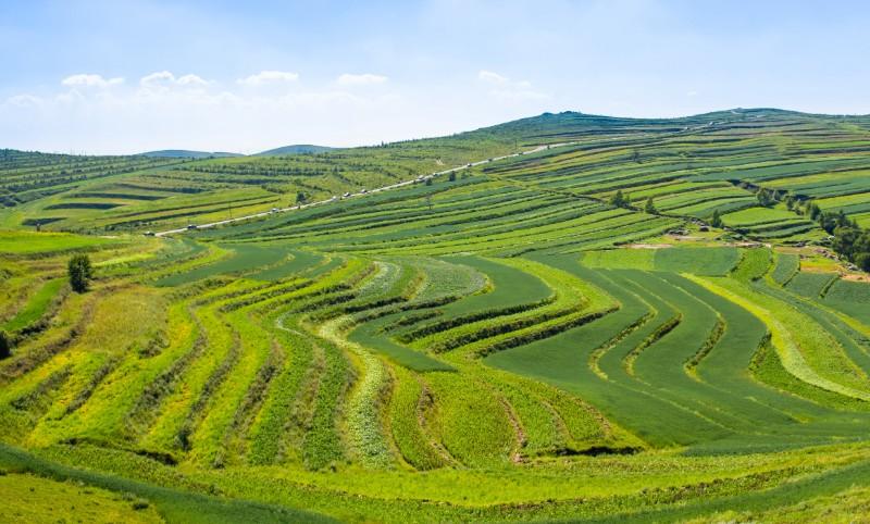 ЙCa(chn)GɫrI(y)l(f)չ