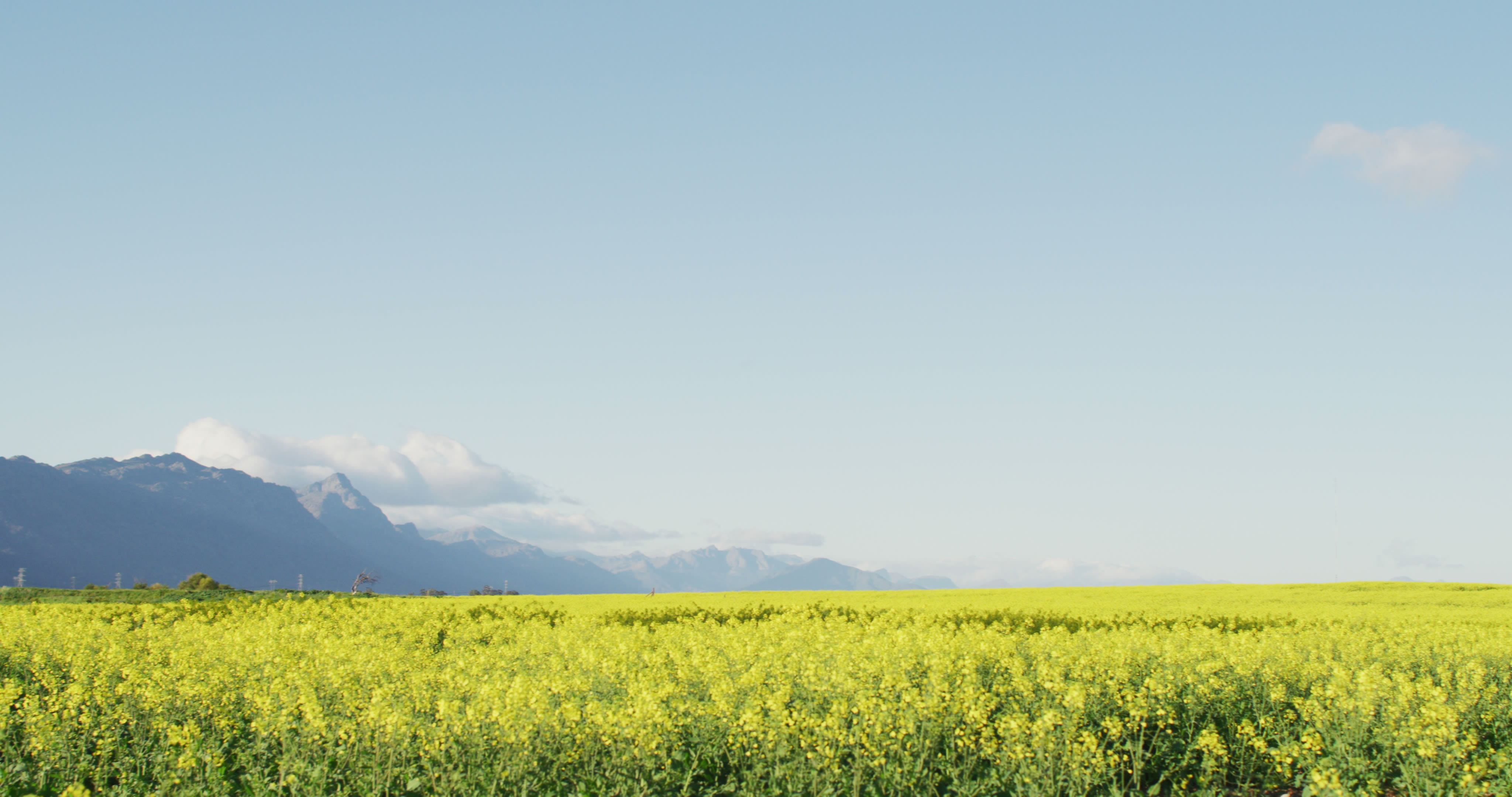 ׃U錚rI(y)Uﻯ߀of