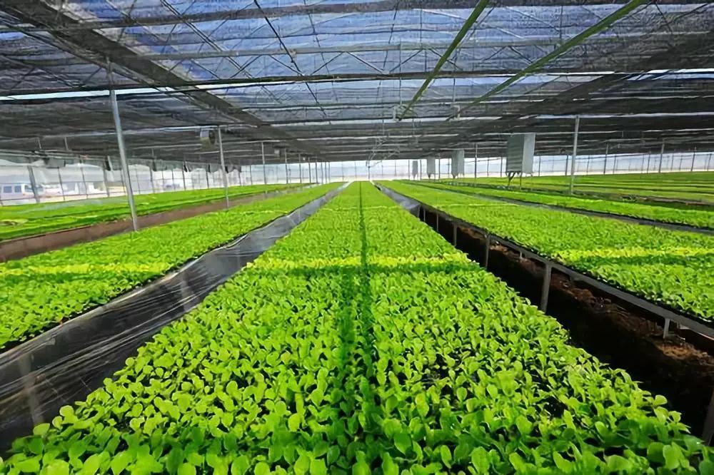 ຣa(chn)ɣЙC(j)ʩe_(d)300f