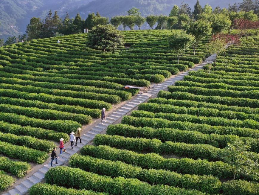 ˮƽo(h)Ƅ(dng)|(zh)l(f)չ l(xing)dB(ti)׾