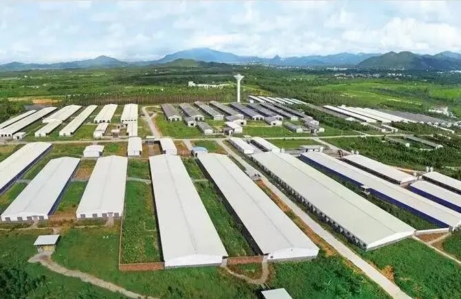 MB(yng)ֳSYԴӿ옋(gu)NB(yng)Y(ji)r(nng)ѭh(hun)l(f)չ¸