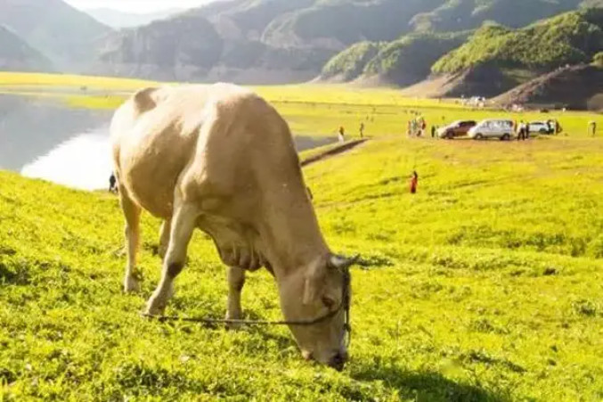 F~fɽݼS׃U錚B(ti)ѭh(hun)r(nng)I(y)l(xing)d