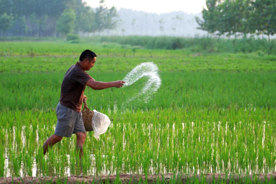 ЧաGr(nng)I(y)Gɫl(f)չЧ@