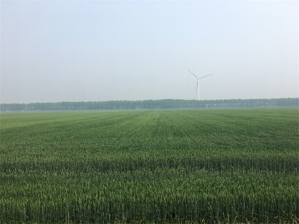 r(nng)I(y)r(nng)岿P(gun)ڳm(x)MݼSYԴøˮƽϼZʳȫĽh(f)