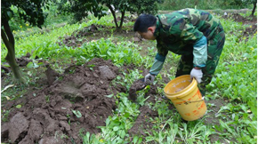 有機(jī)肥與農(nóng)家肥的區(qū)別