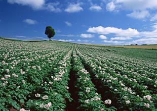 iSЙCa(chn)ʲôҪ