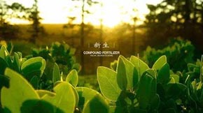 有機肥發(fā)酵在有機肥生產(chǎn)中的作用