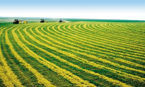 a(chn)ҪЩa(chn)O(sh)