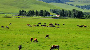 r(nng)I(y)P(gun)MһӿݼSYԴõ߽