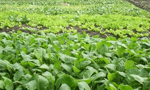 ЙC(j)ЧãЙC(j)O(sh)Sͨ_(d)ع㿂Y(ji)ԭ