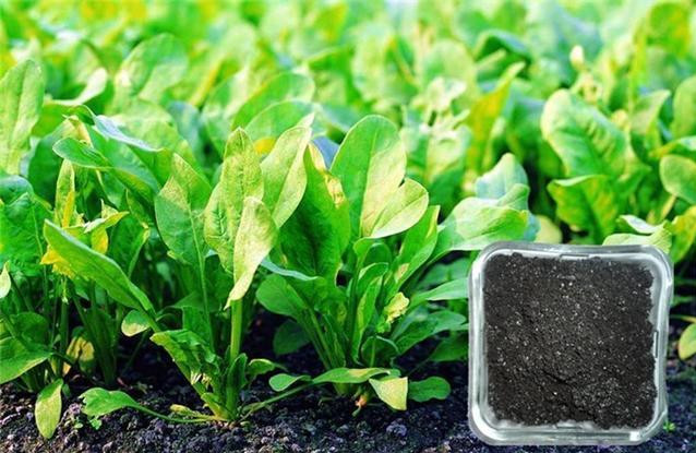 ЙC(j)ʰl(f)ͼg(sh)Щ(yu)c(din)?