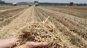 r(nng)նЙC(j)ʵļg(sh)Ҫc(din)