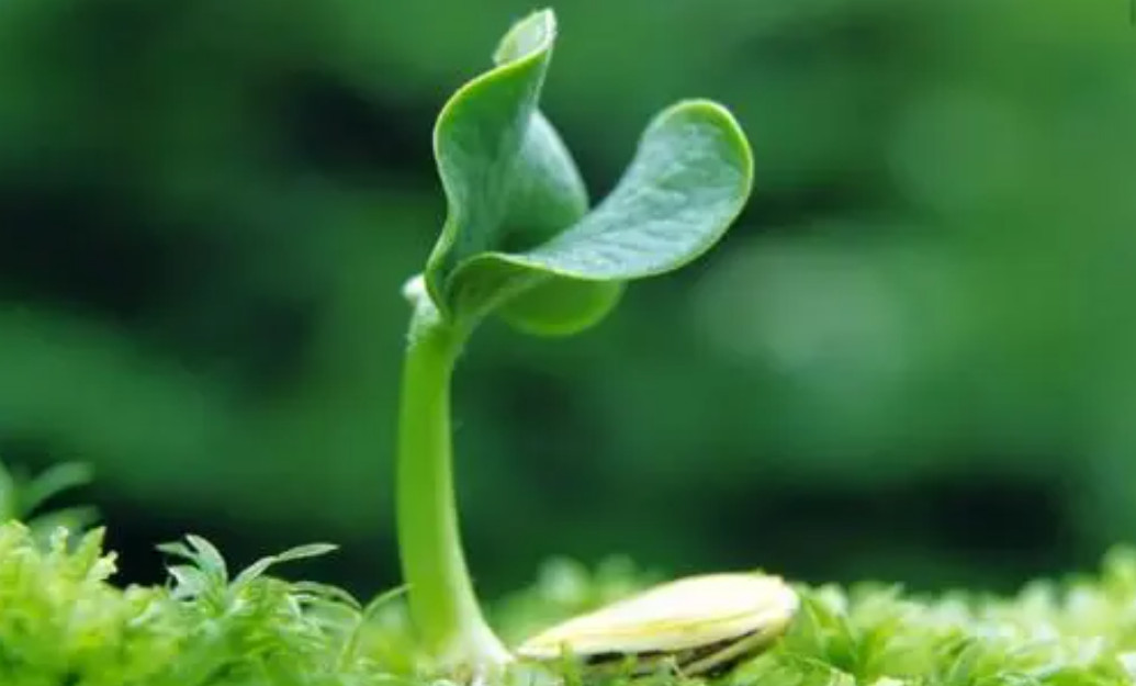 ЙC(j)O(sh)l(f)չF(xin)