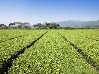 kһС͵ЙC(j)ʼӹSҪЩm(x)ͶYX