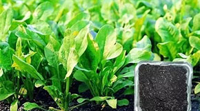 _(ki)kЙC(j)ʹS@Щߡ