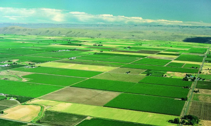 ȫ÷ ЙC(j)a(chn)O(sh)X(qin)һ