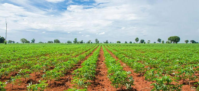 ЙC(j)ʵă(yu)(sh)ע(xing)