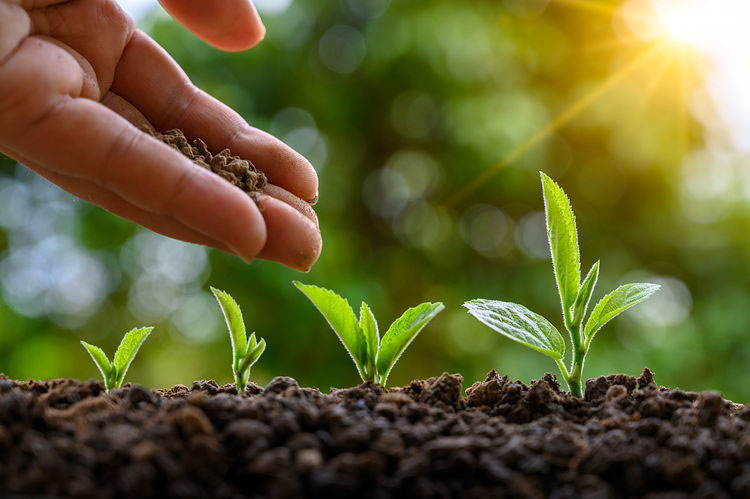 ҇(gu)ЙC(j)r(nng)I(y)(hu)ʬF(xin)傀(g)l(f)չڅ(sh)