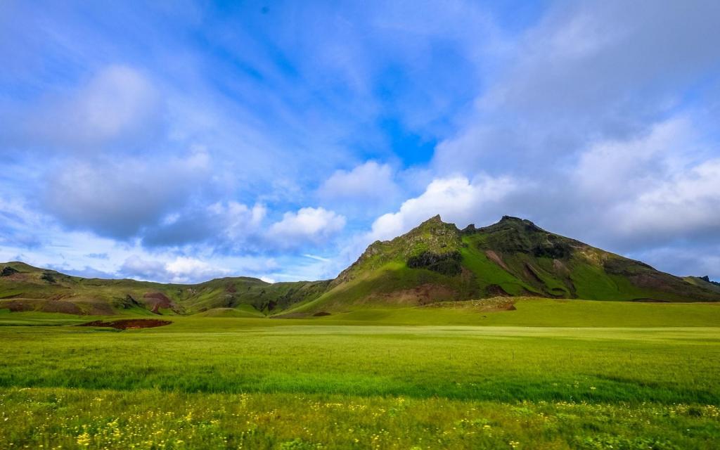 ЙC(j)a(chn)(xin)O(sh)l(f)ͷC(j)l(f)Ԕ