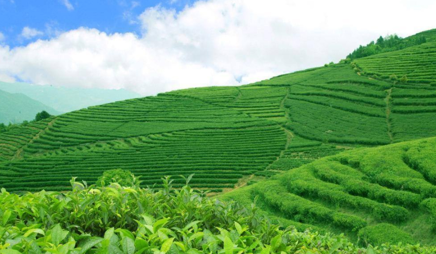 ׌ЙC(j)_(d)õЧ