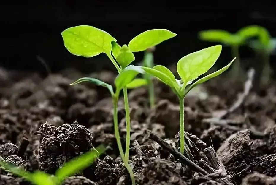 ЙCwa(chn)c۠a(chn)̎ʽкβͬ