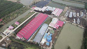 ӹЙC(j)a(chn)(xing)ĿSĴ֪֪R(sh)