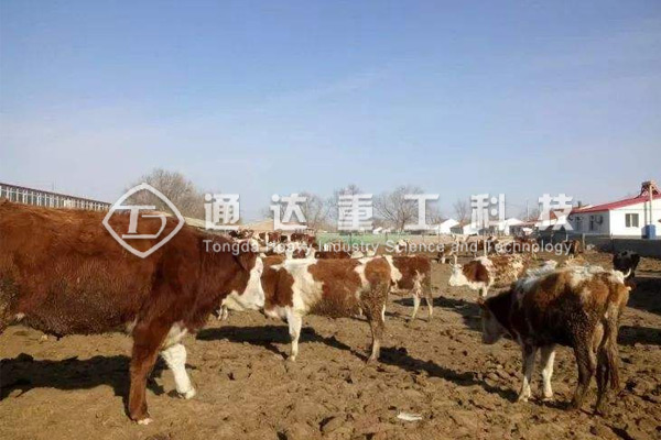 (ni)ɹŽһla(chn)5f(wn)ţSЙC(j)a(chn)ָ