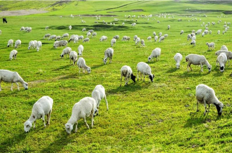 ʹSЙC(j)ҪʲôЙC(j)O(sh)䣿